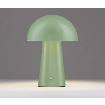 Ande LED asztali lámpa Nova Luce -9050174-