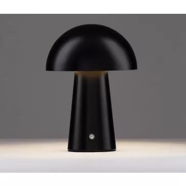 Ande LED asztali lámpa Nova Luce -9050175-